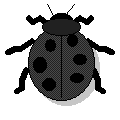 magic bug